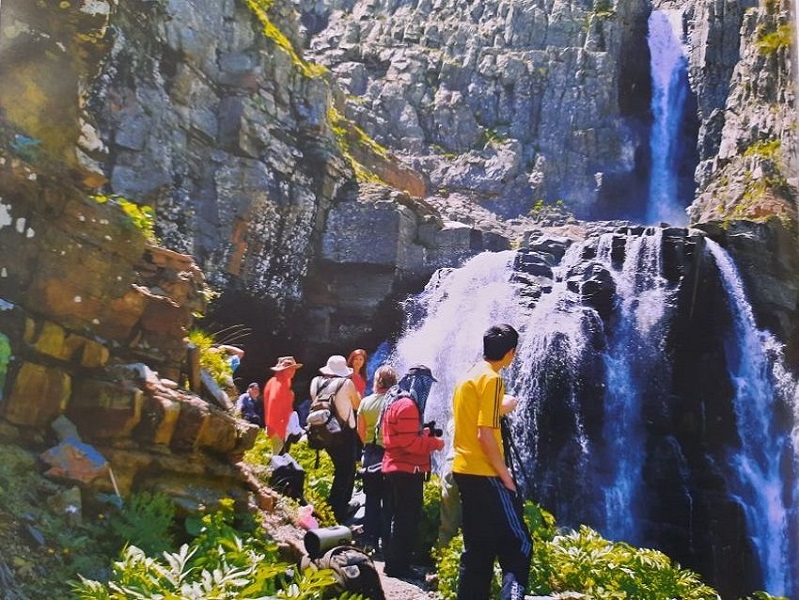 Doğa